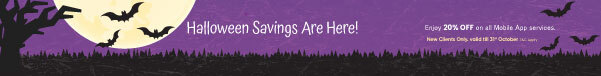 christmas offer