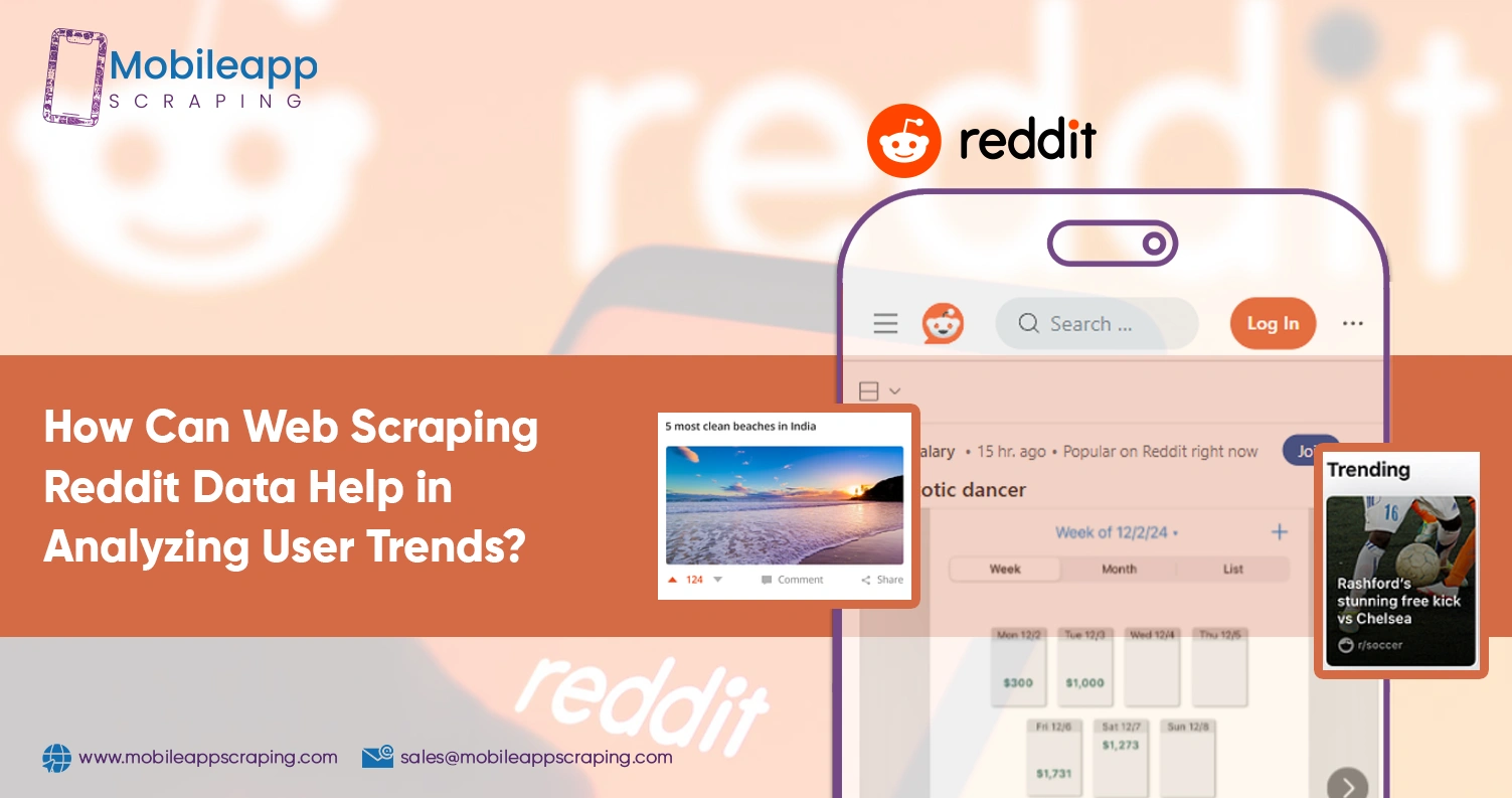 banner banner